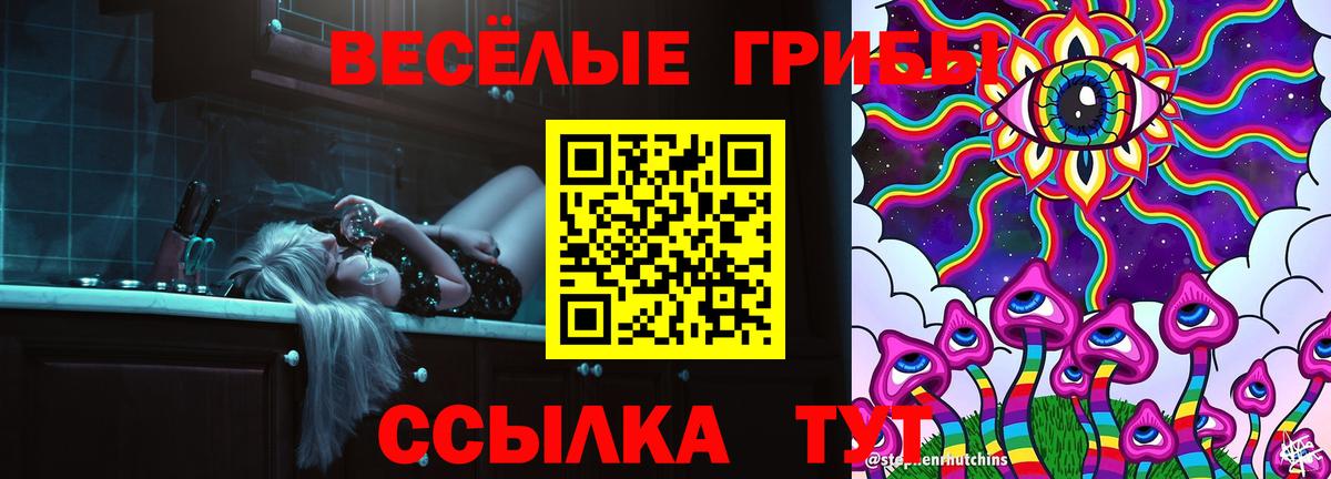 Псилоцибиновые грибы мухоморы Касимов